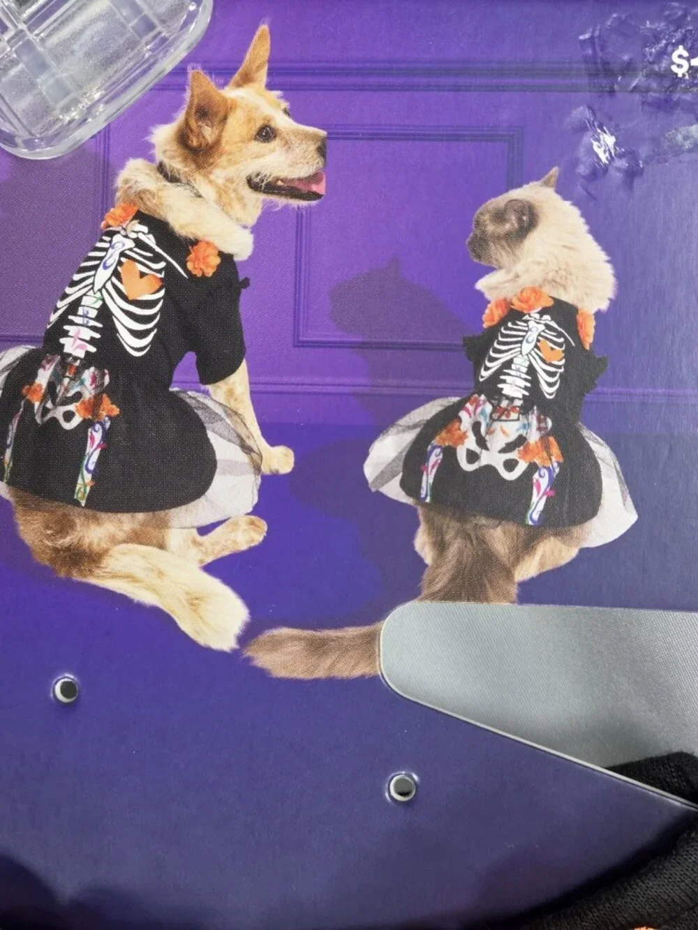 Petco bootique by